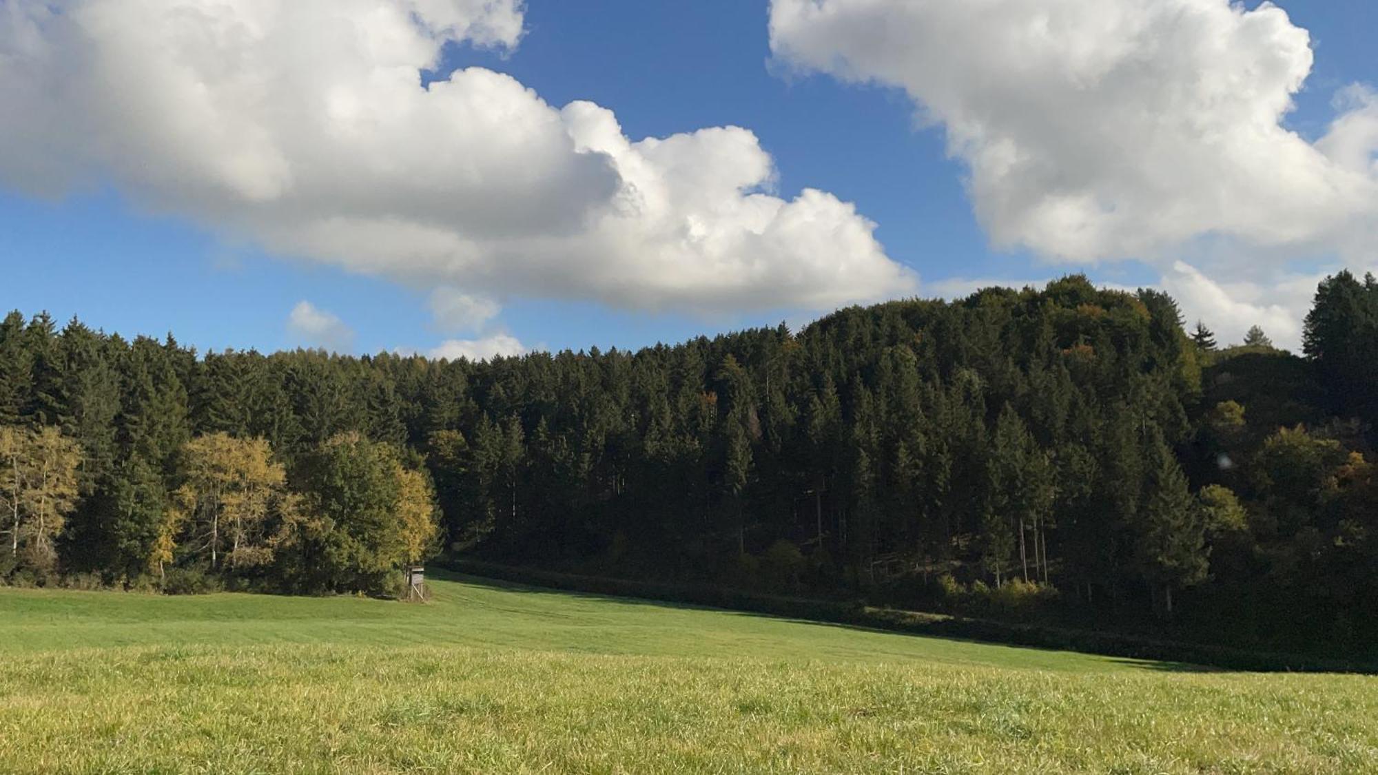 Deine-Eifel-Ferienwohnung Feusdorf Exteriér fotografie