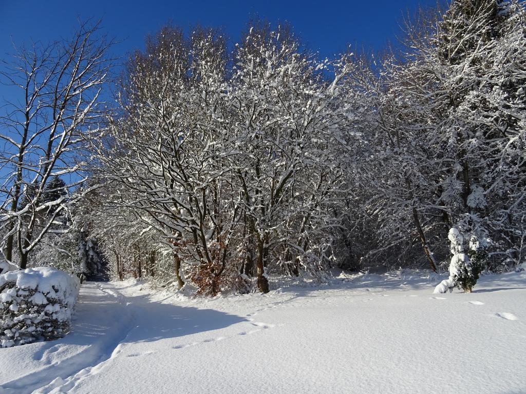 Deine-Eifel-Ferienwohnung Feusdorf Exteriér fotografie