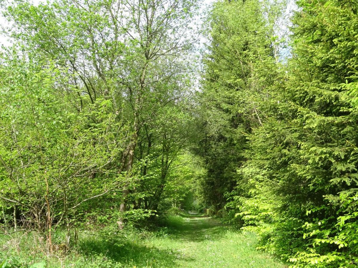 Deine-Eifel-Ferienwohnung Feusdorf Exteriér fotografie