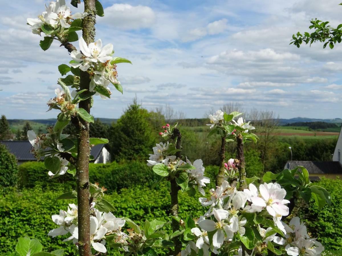 Deine-Eifel-Ferienwohnung Feusdorf Exteriér fotografie